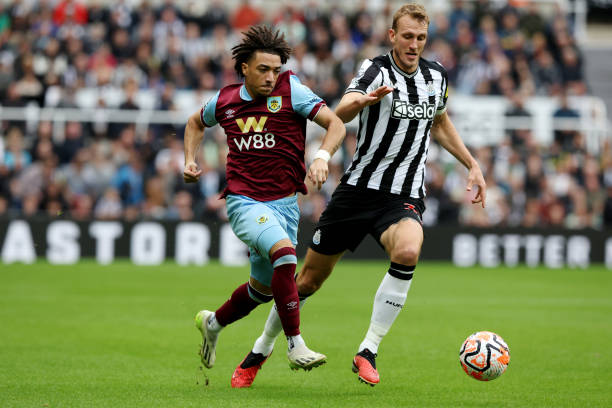 有望为球队 有望为球队